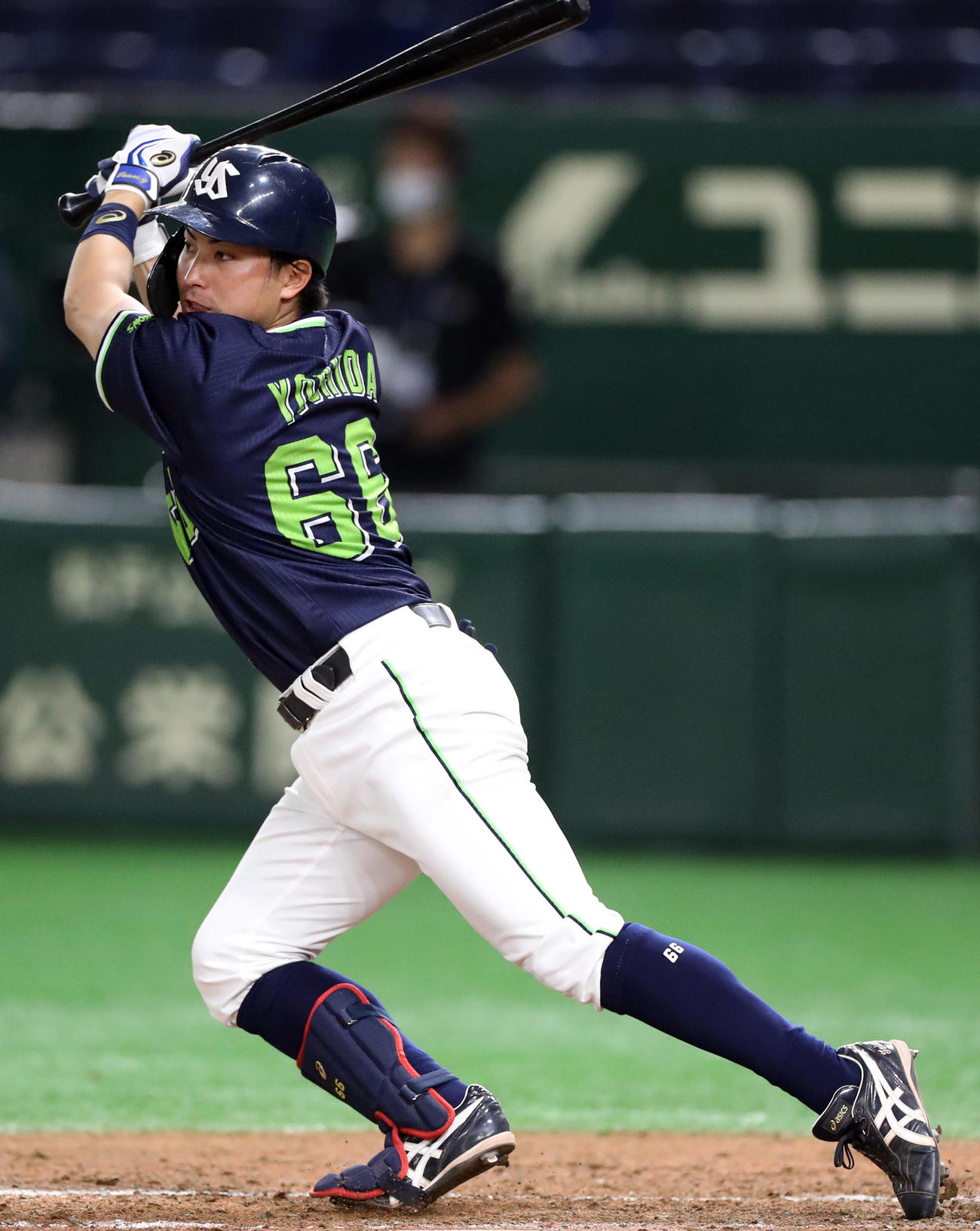 ヤクルト吉田大成（2020年6月6日撮影）