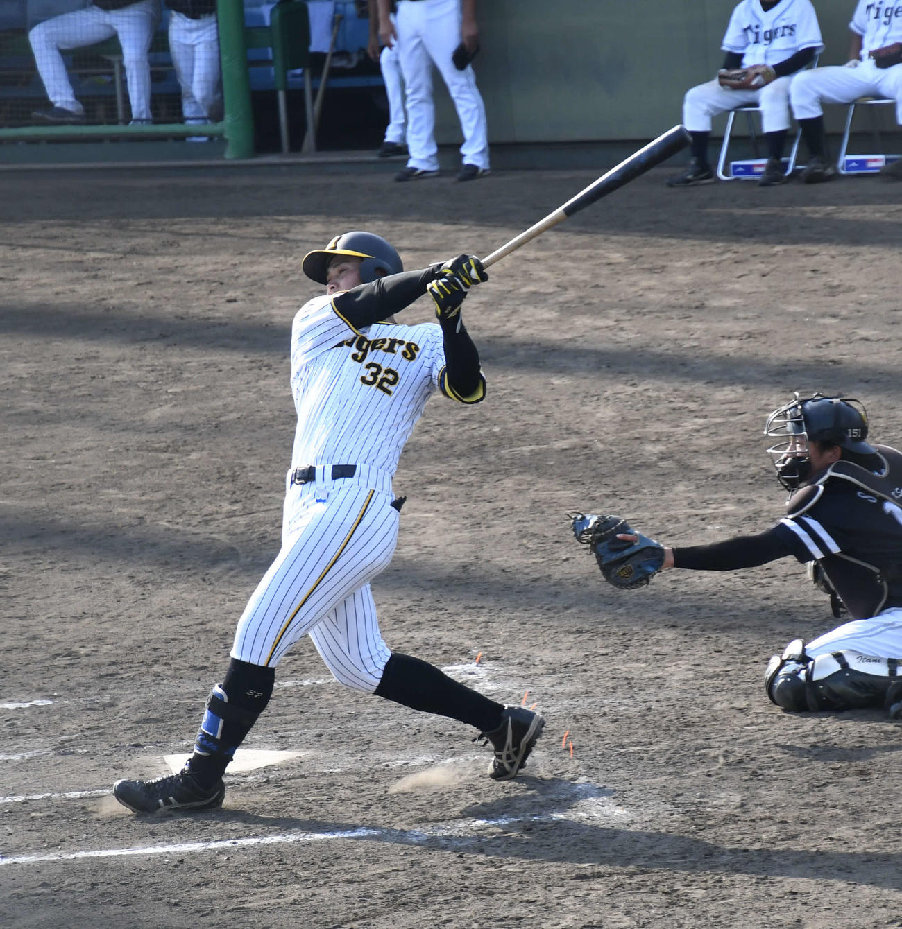 ソフトバンク3軍との練習試合で力強くスイングする阪神井上（撮影・中野椋）