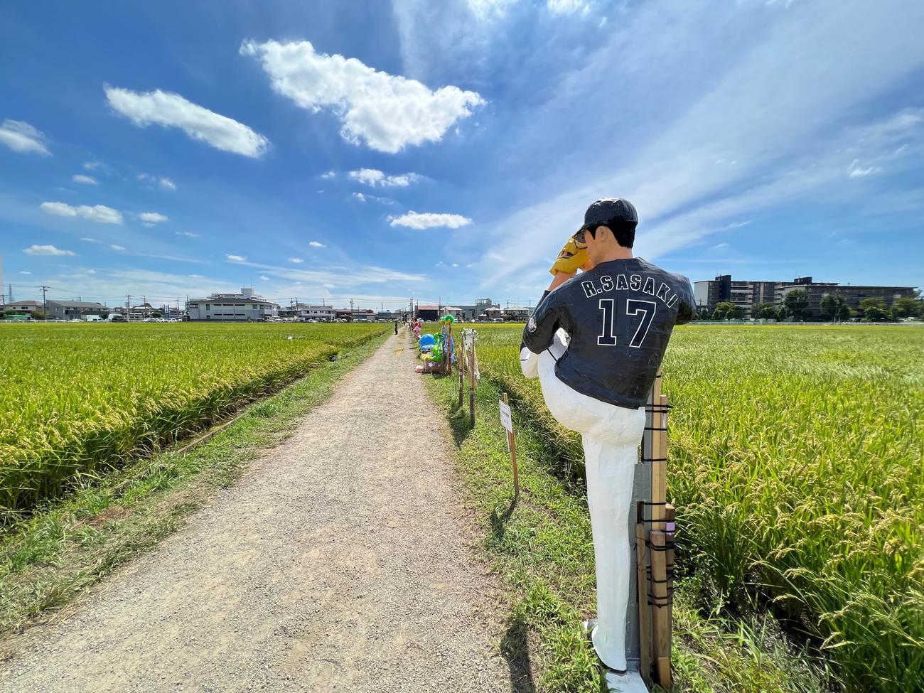 神奈川・海老名市の中新田かかしまつりで展示されるロッテ佐々木朗のかかし（撮影・金子真仁）