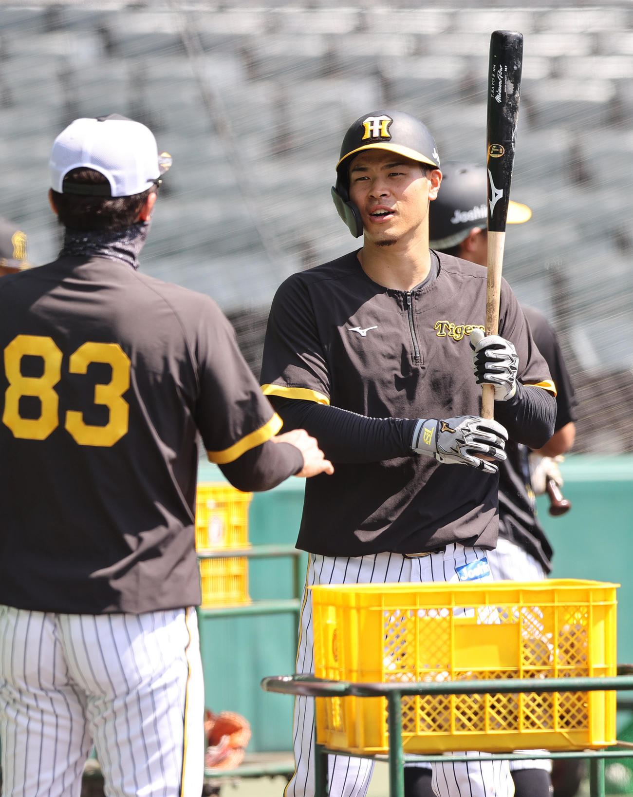トス打撃の合間に新井打撃コーチ（左）と話す佐藤輝（撮影・上山淳一）