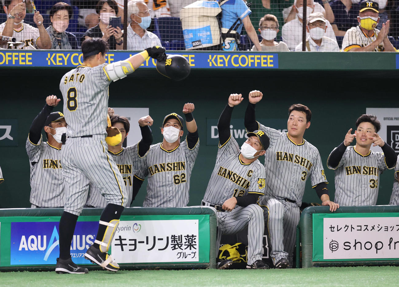 巨人対阪神　2回表阪神2死、先制ソロ本塁打を放った佐藤輝（手前）を迎える阪神ベンチ（撮影・狩俣裕三）