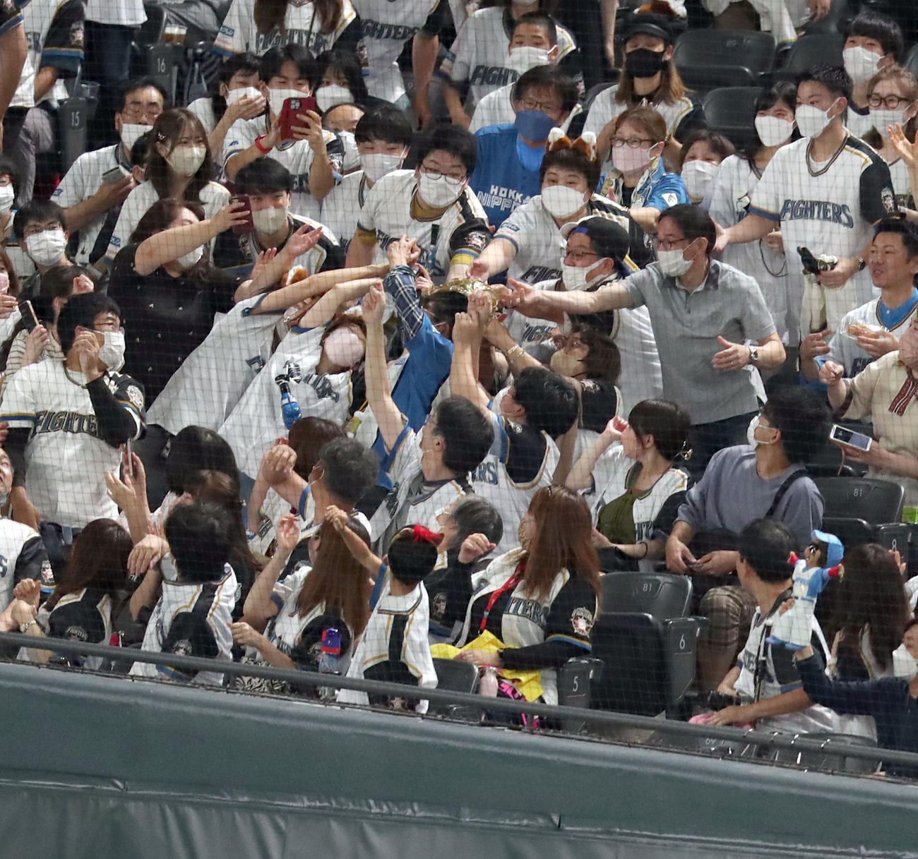 日本ハム対ロッテ　スタンド応援席に投げ入れられた新庄監督のゴールデングラブを取り合うファン（撮影・佐藤翔太）