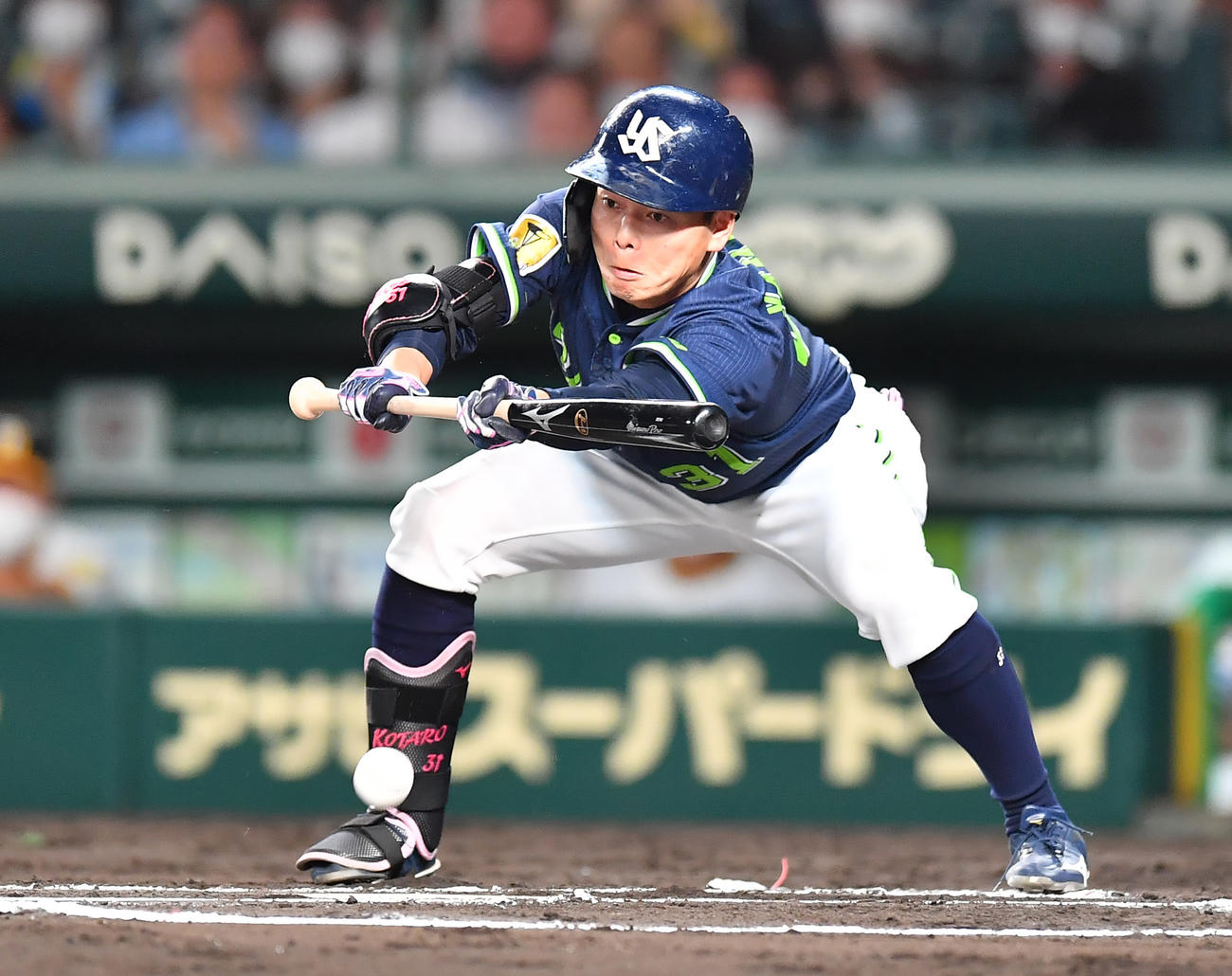 阪神対ヤクルト　6回表ヤクルト無死二塁、投前にバント安打を決める山崎（撮影・清水貴仁）