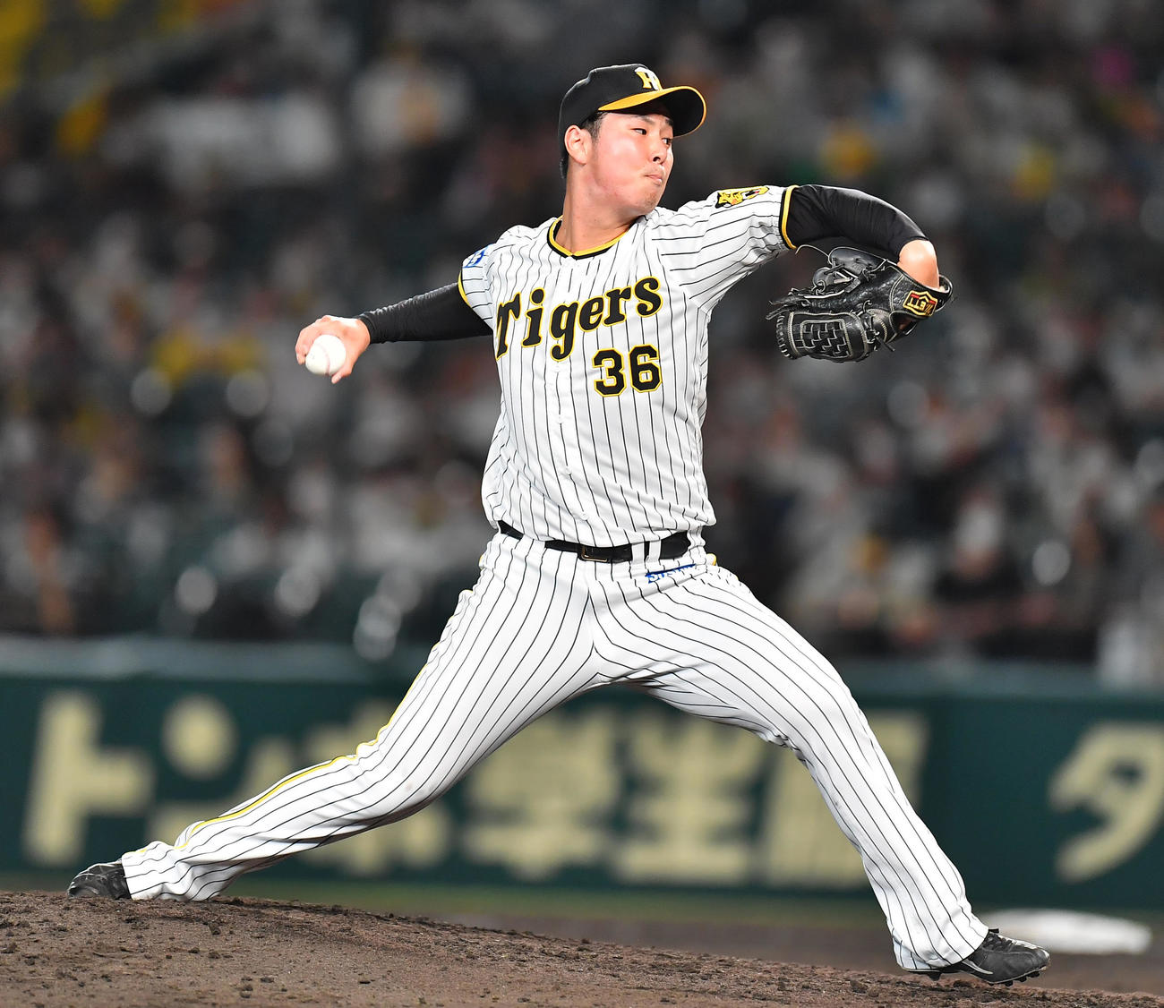 阪神対ヤクルト　7回表に登板する阪神2番手の浜地（撮影・清水貴仁）