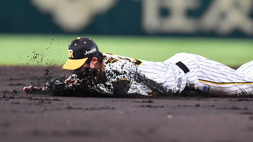 阪神対ヤクルト 4回表ヤクルト2死一塁、中村の打球を遊撃手中野ダイビングキャッチし一塁アウトにする(撮影・清水貴仁)