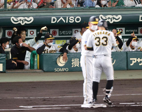 阪神対ヤクルト 1回裏阪神無死一塁、藤浪(左から2人目)は糸原(手前)が左前打を放ちポーズを決める(撮影・上山淳一)