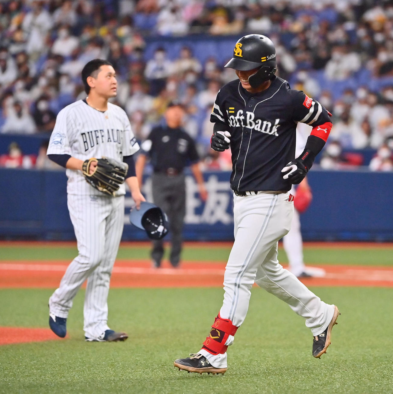オリックス対ソフトバンク　4回表ソフトバンク1死一塁、死球を受ける今宮（撮影・和賀正仁）