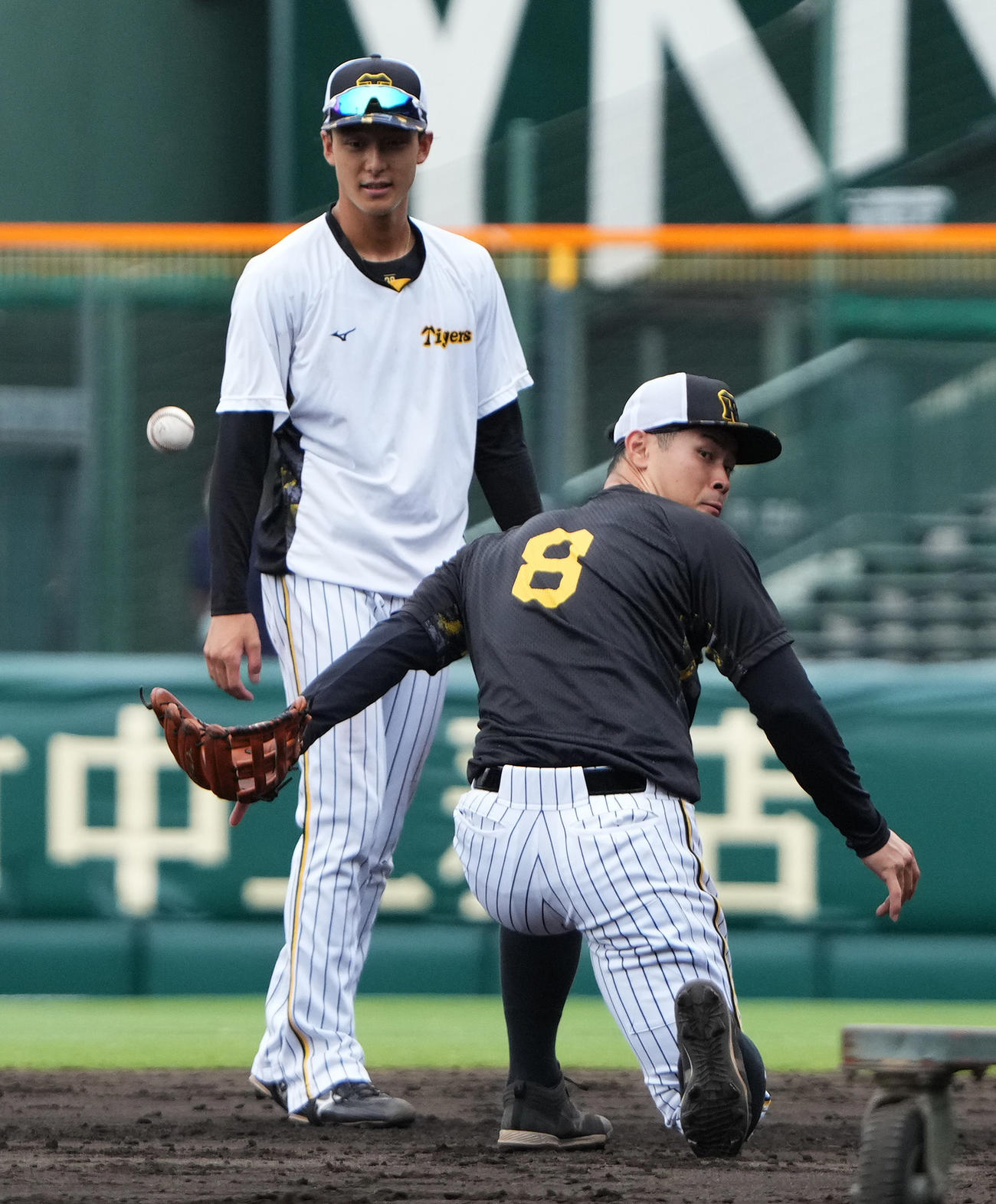 試合前に二塁でノックを受ける阪神佐藤輝（右）（撮影・清水貴仁）