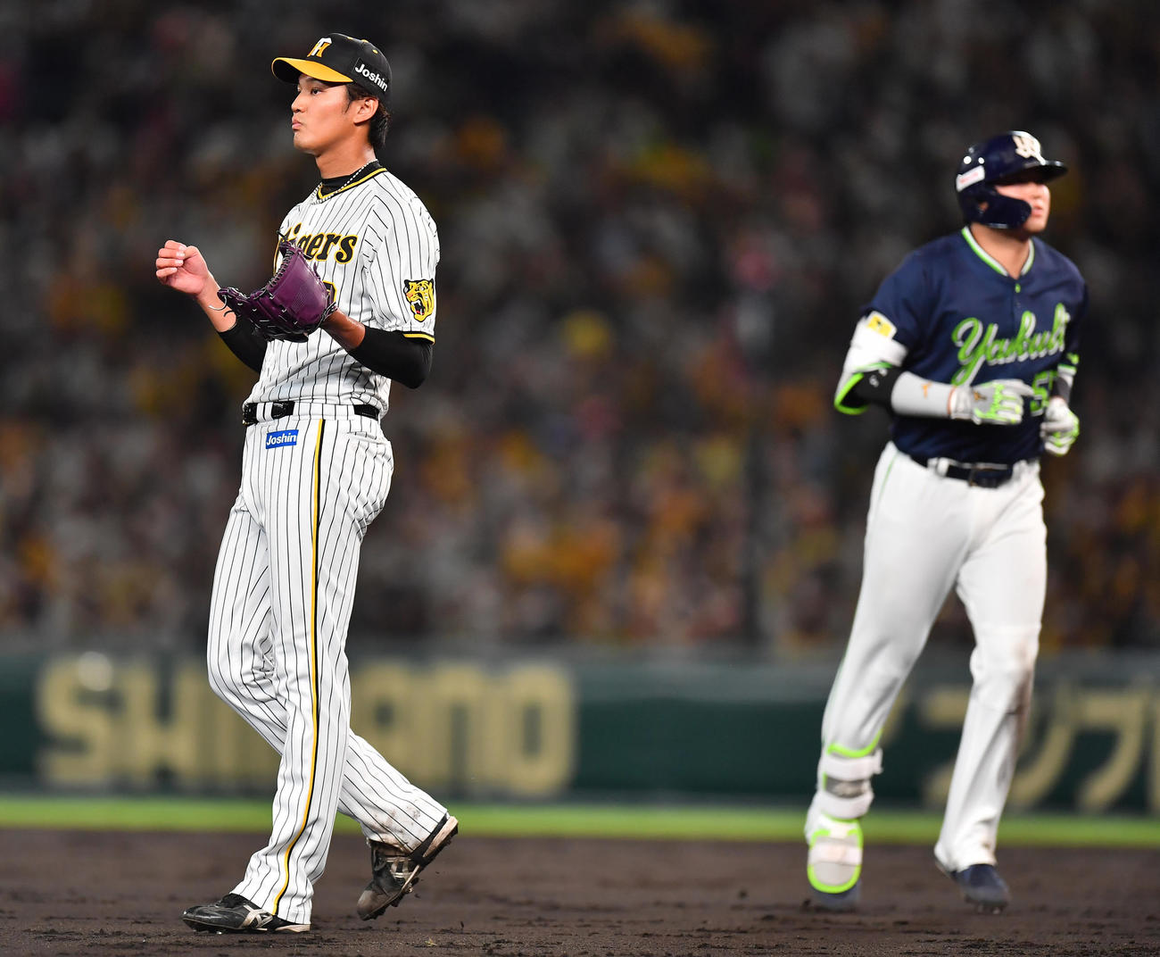 阪神対ヤクルト　4回表ヤクルト1死、村上（右）を左飛に抑える阪神藤浪（撮影・清水貴仁）