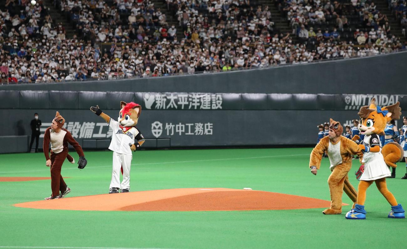 日本ハム対ロッテ　ファーストピッチセレモニーで投球するYlvis（撮影・黒川智章）