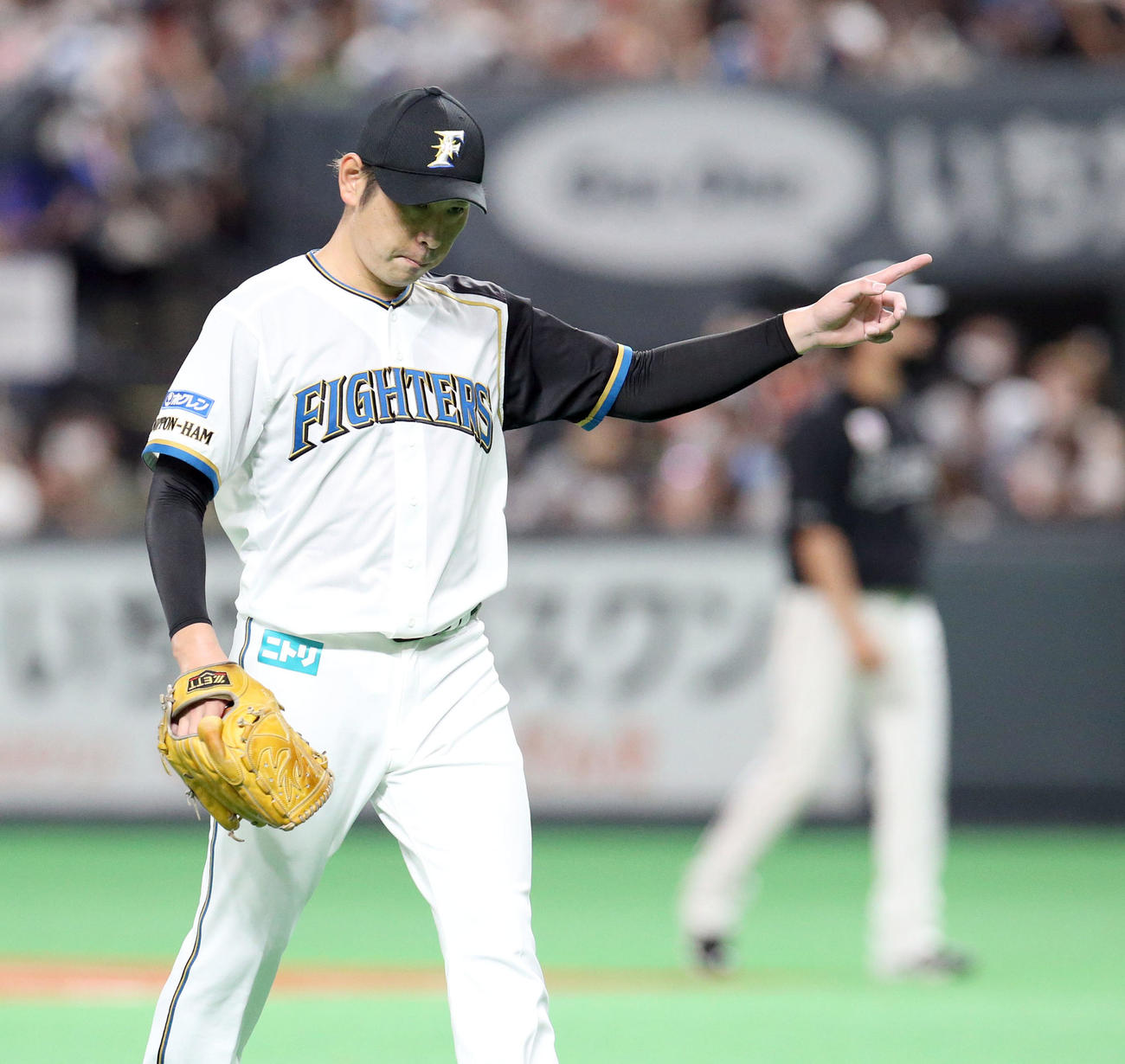 日本ハム対ロッテ　3回表を無失点に抑え宇佐見を指さす加藤（撮影・佐藤翔太）