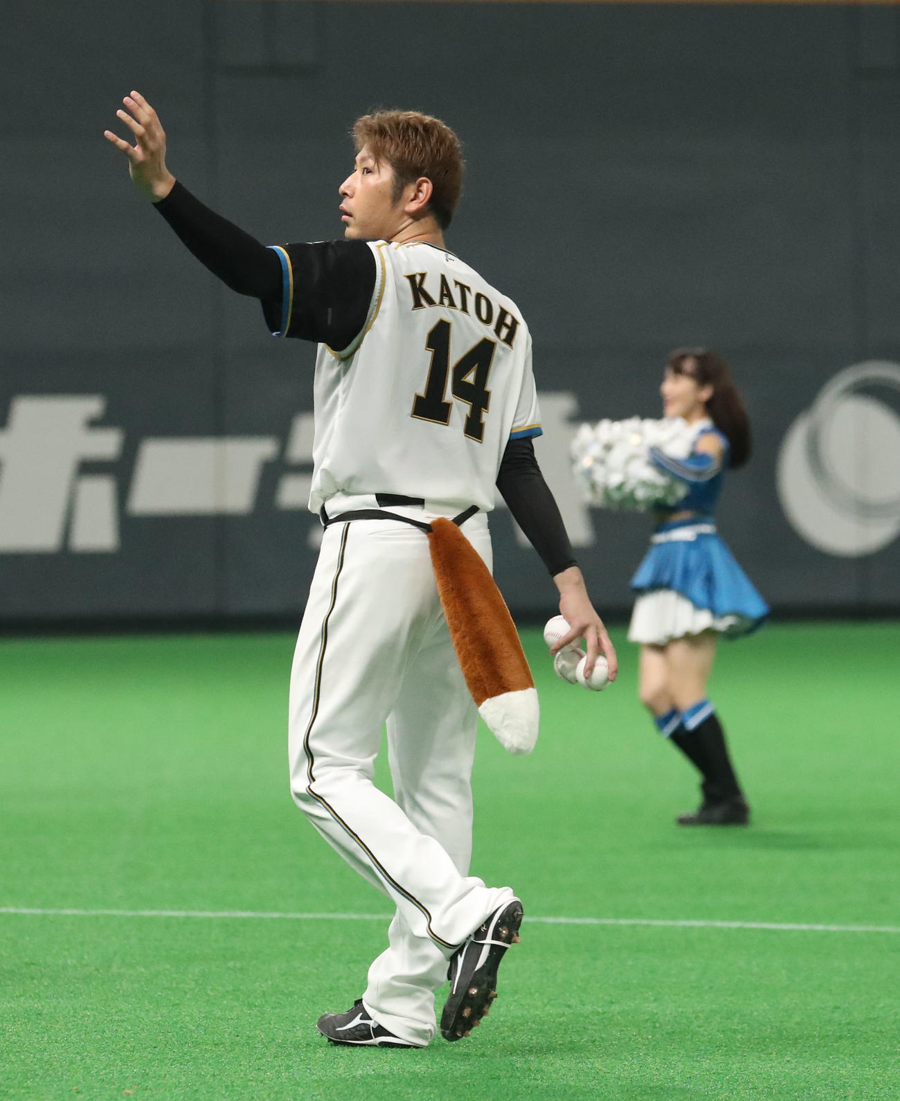 日本ハム対ロッテ　試合終了後、きつねのしっぽをつける加藤（撮影・佐藤翔太）