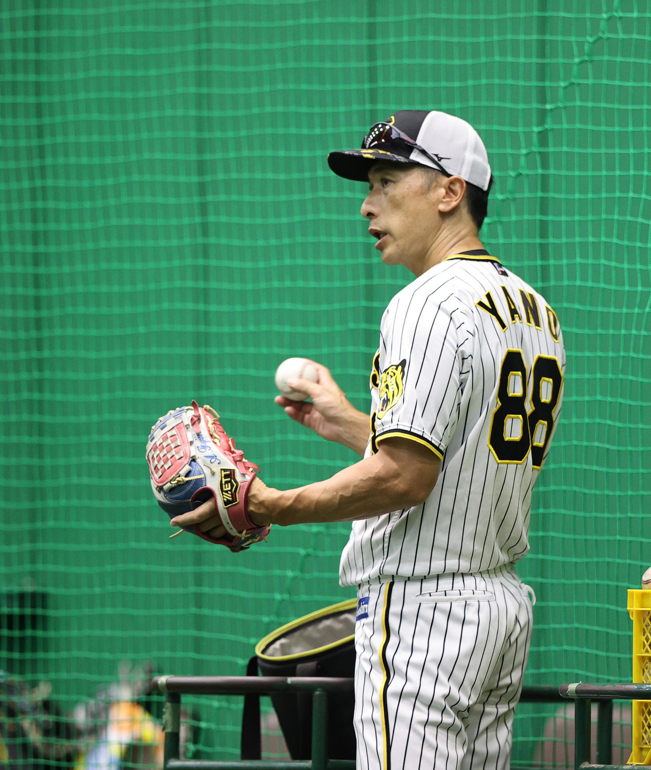 グラブをつけ練習を見守る阪神矢野監督（撮影・上山淳一）