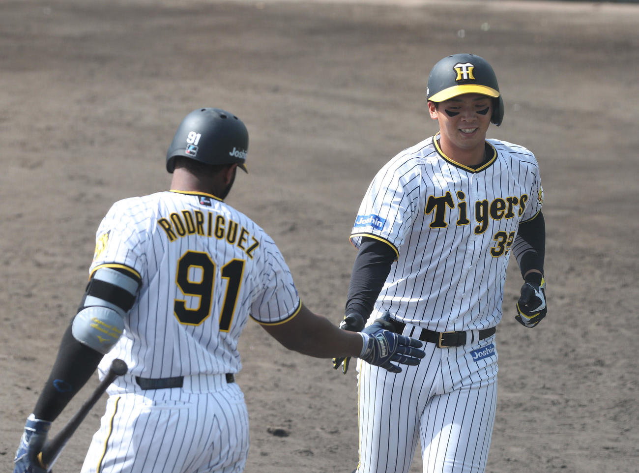 ウエスタン・リーグ阪神対オリックス　3回裏阪神2死、井上（右）は左越え本塁打を放ち生還してロドリゲスとタッチを交わす（撮影・白石智彦）