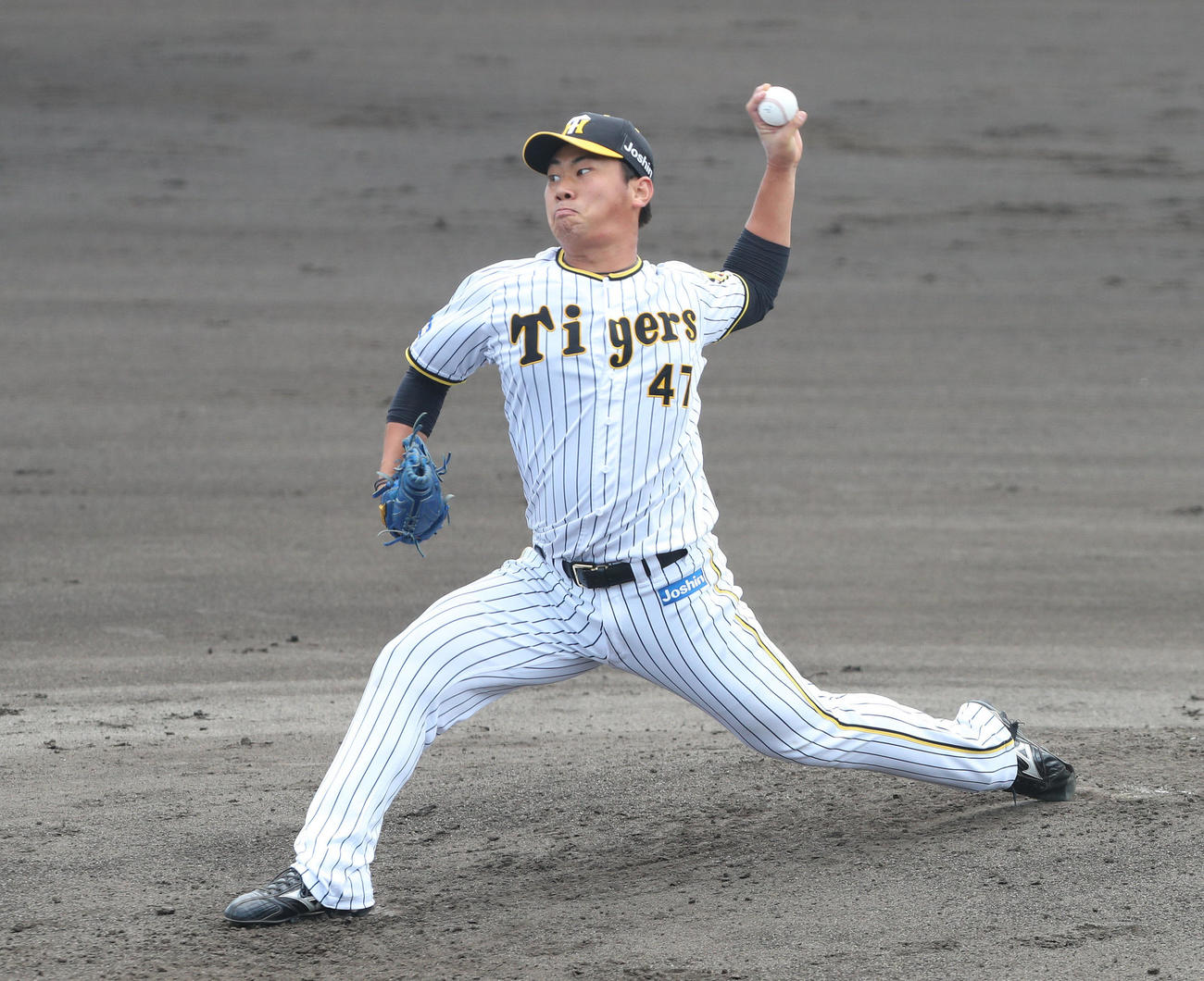 ウエスタン・リーグ阪神対オリックス　オリックス戦に先発する桐敷（撮影・白石智彦）
