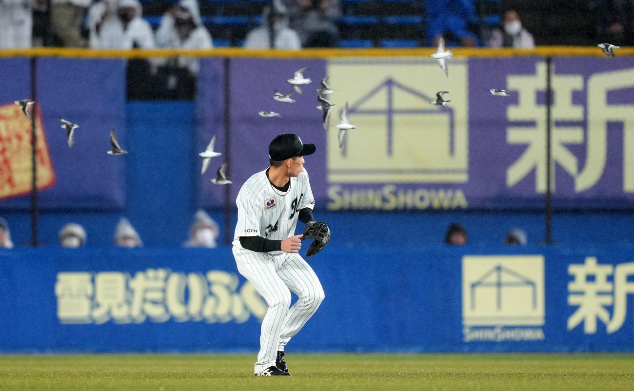 ロッテ対オリックス　6回表途中、グラウンドに飛来した鳥の群れを避けるロッテ高部（撮影・横山健太）