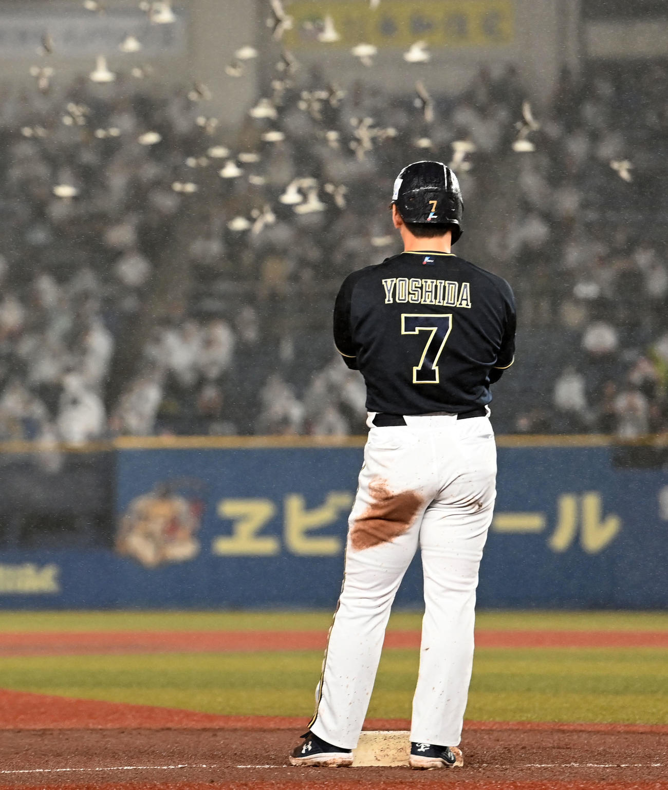ロッテ対オリックス　6回途中、グラウンドに飛来した鳥の群れを見つめるオリックス吉田正（撮影・横山健太）