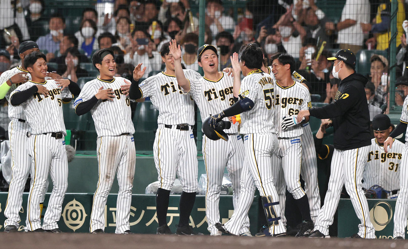 阪神対DeNA 8回裏阪神無死、代打陽川（手前）の同点左越え本塁打で喜ぶ阪神ナイン（撮影・上山淳一）
