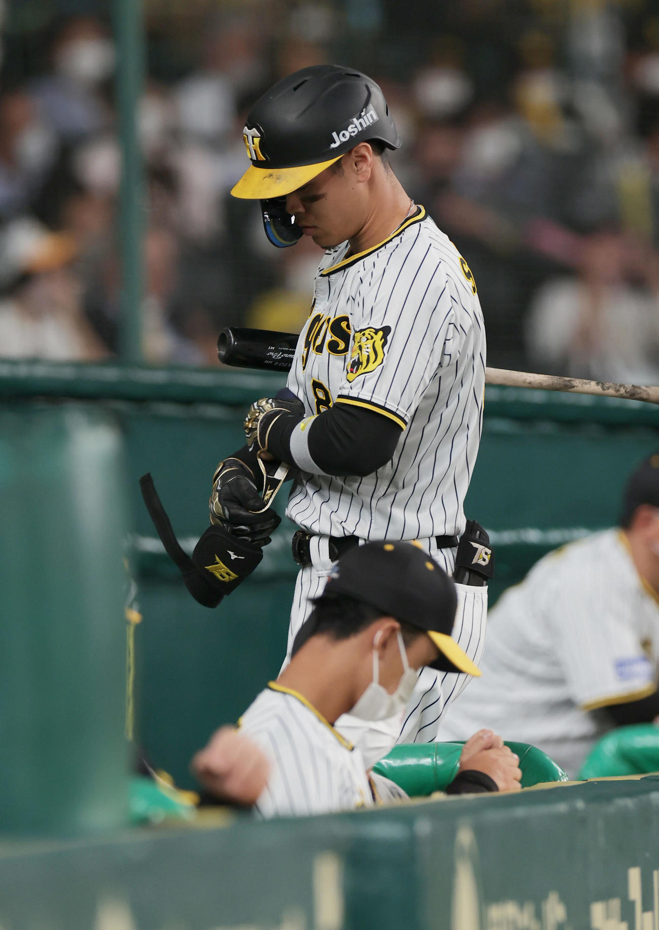 阪神対DeNA 7回裏阪神無死、空振り三振に倒れベンチへ戻る佐藤輝（撮影・前田充）