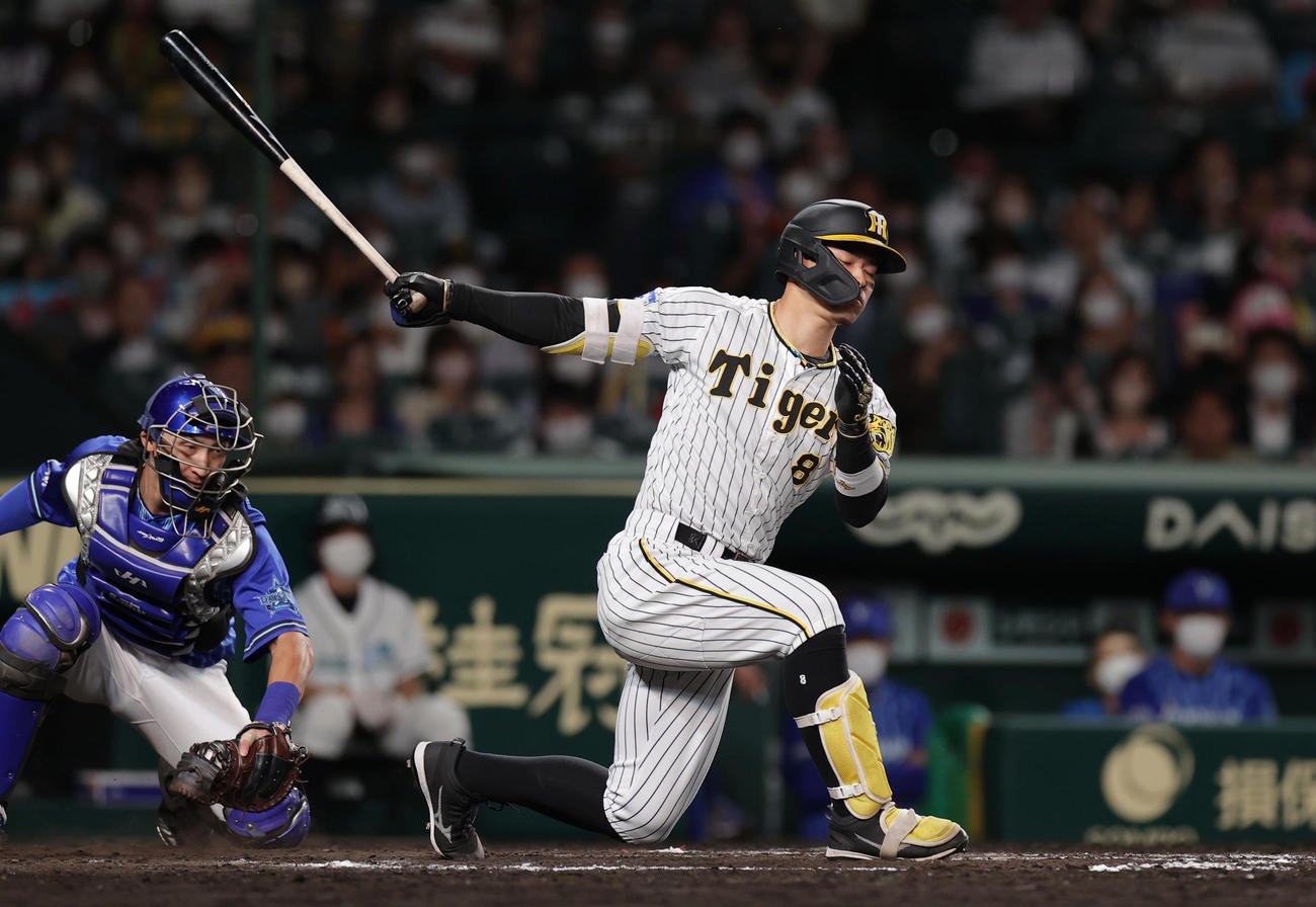 阪神対DeNA 7回裏阪神無死、空振り三振に倒れる佐藤輝（撮影・前田充）