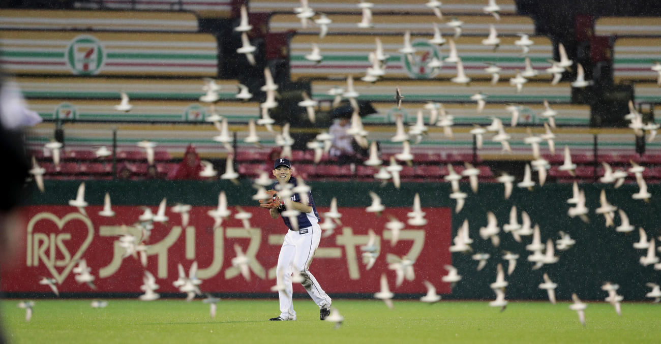 17年8月30日、koboパークに鳥の大群が飛来し周囲を取り囲まれた西武秋山