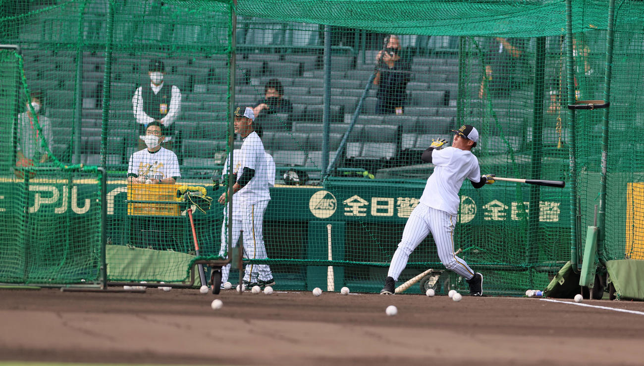 阪神対広島　打撃練習を行う糸井（撮影・加藤哉）