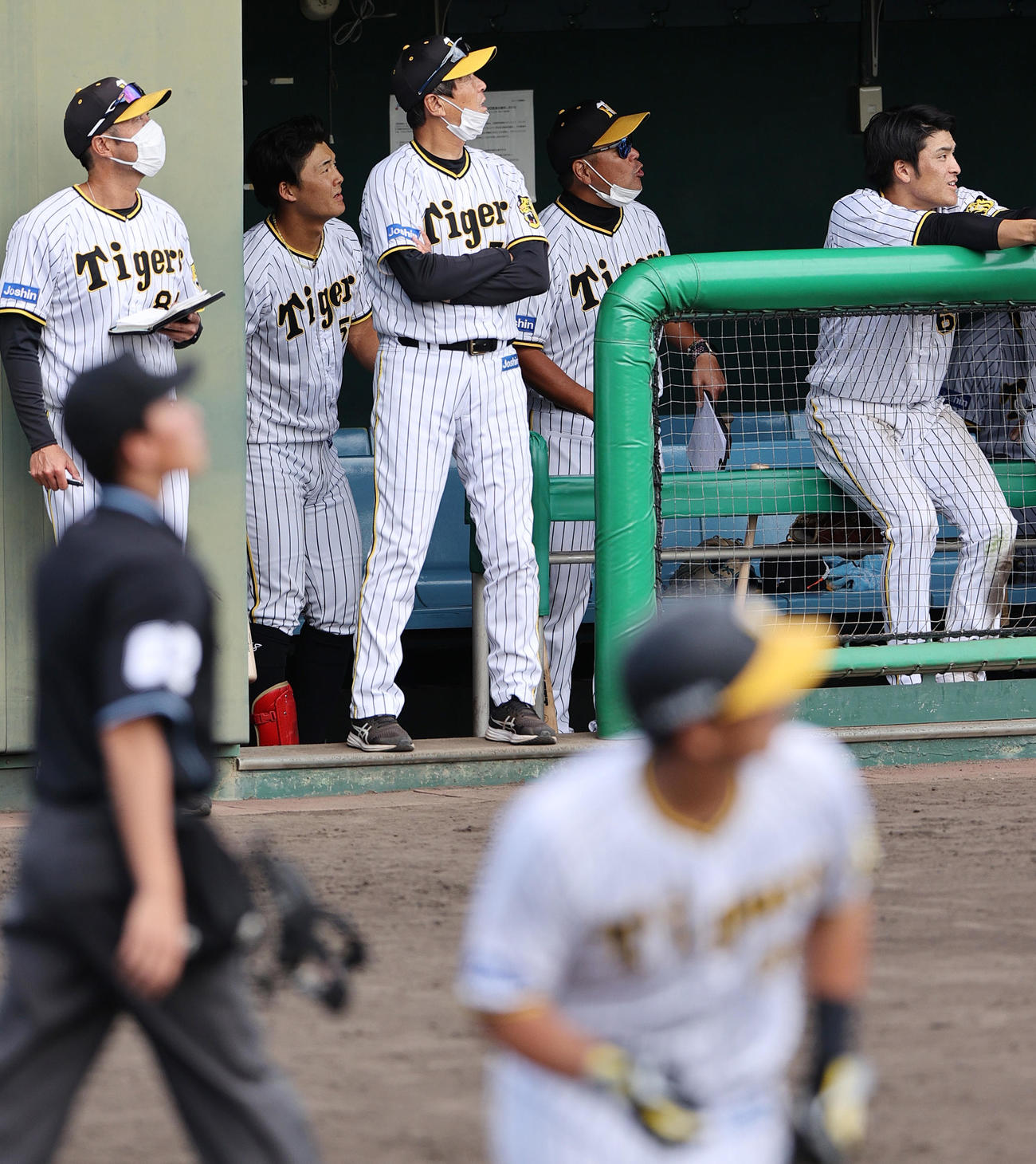 ウエスタン・リーグ阪神対オリックス　7回裏阪神1死、平田2軍監督（中央）は井上（手前）の左越え本塁打の打球を見上げる（撮影・上山淳一）