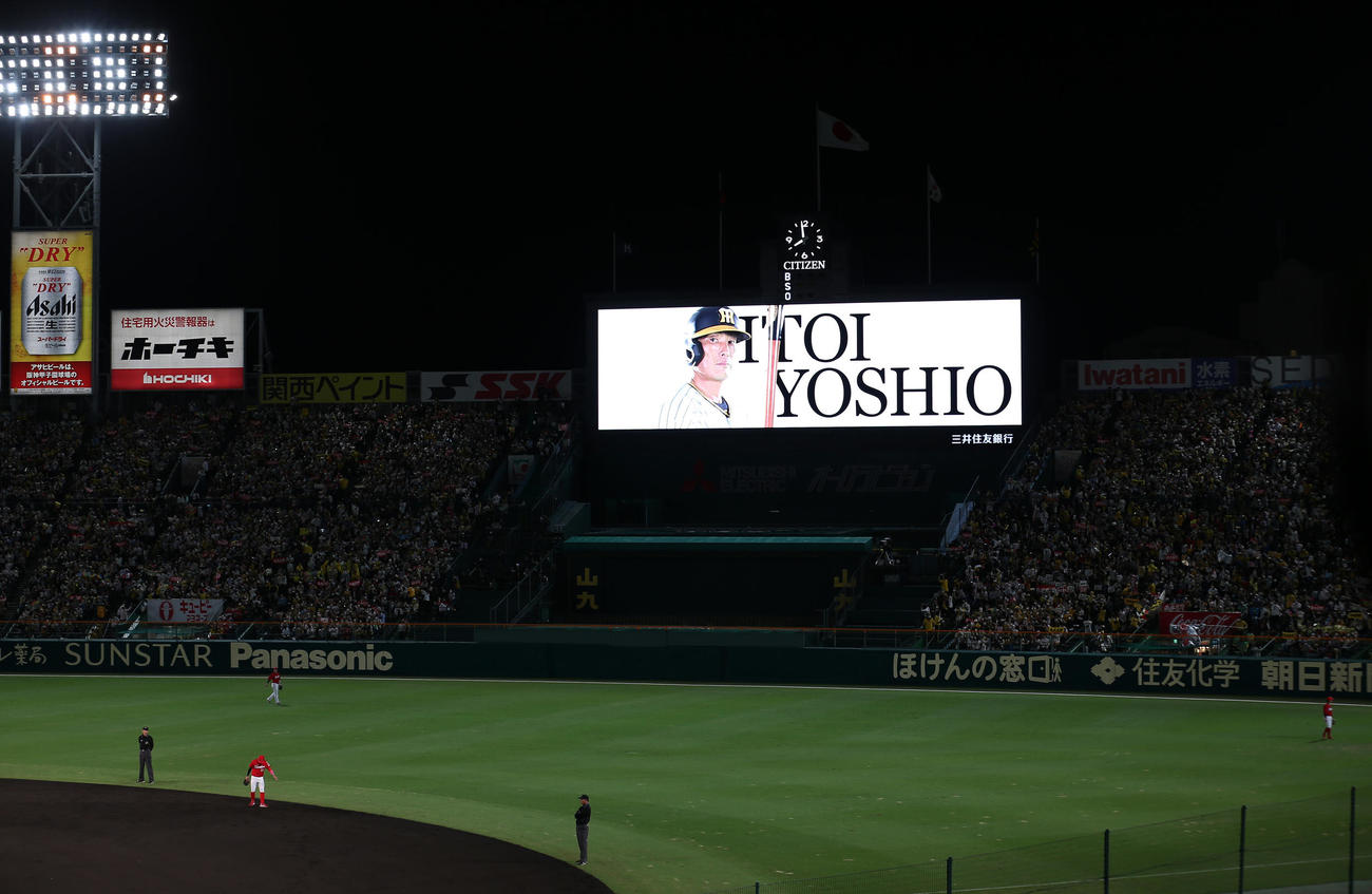 阪神対広島　5回裏阪神無死、代打糸井がコールされる（撮影・上山淳一）