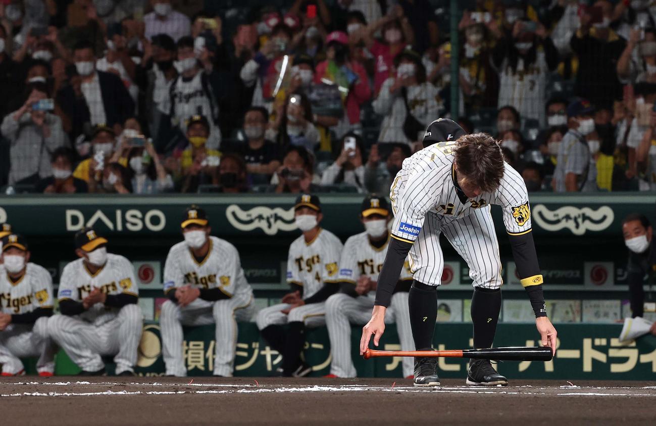引退セレモニーで左打席にバットを置く糸井（撮影・上田博志）