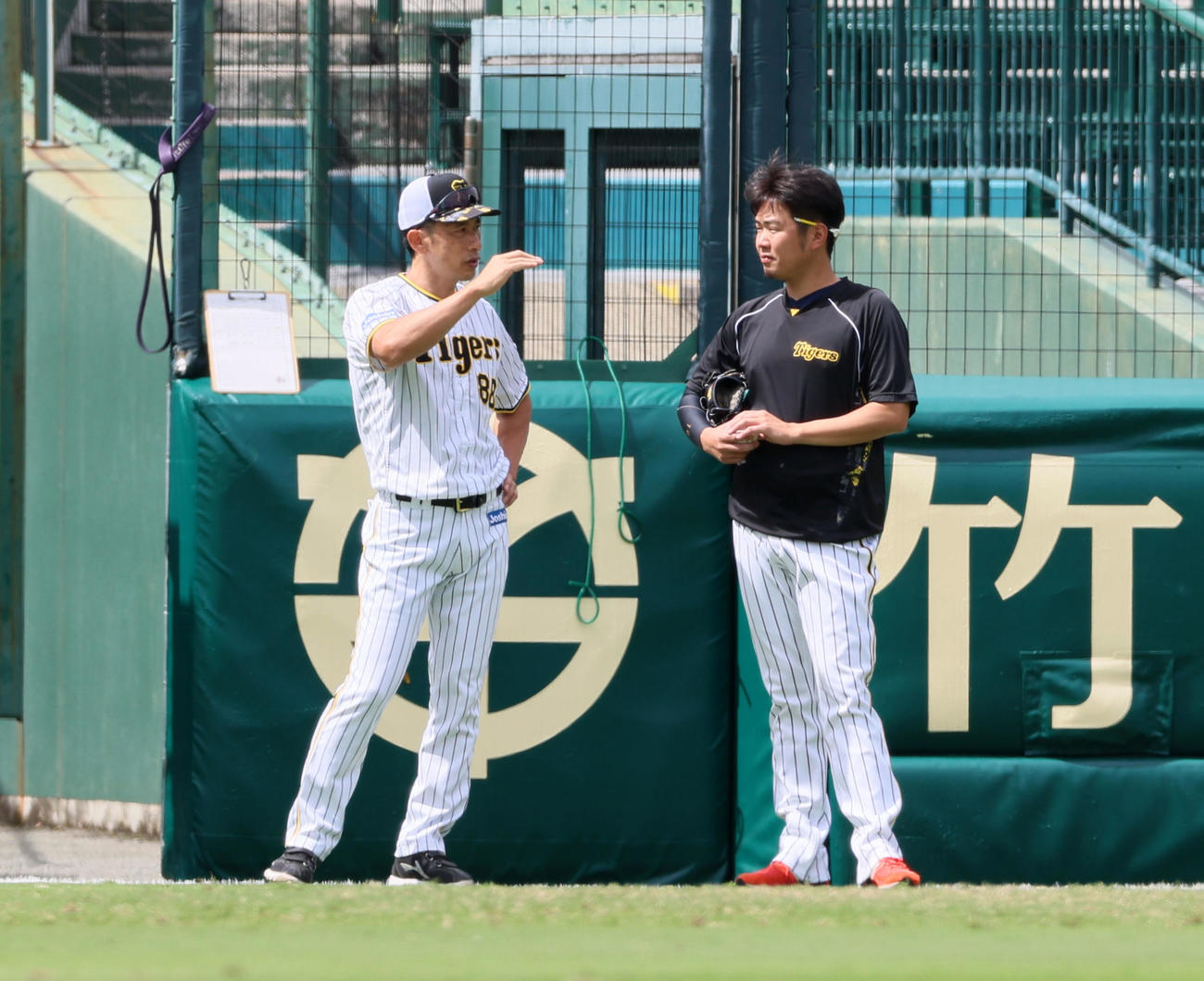 外野で西勇（右）と話し込む矢野監督（撮影・加藤哉）