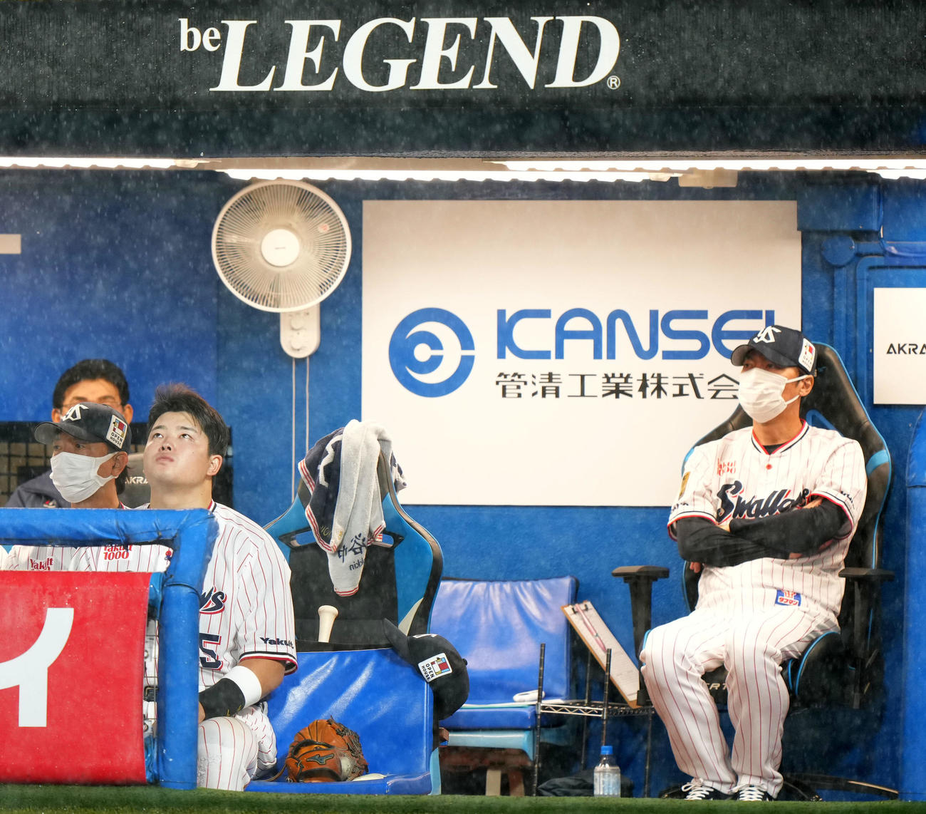 ヤクルト対DeNA 8回裏途中、3度目の雨での中断となり空を見上げるヤクルト村上（左）。右は高津監督（撮影・横山健太）