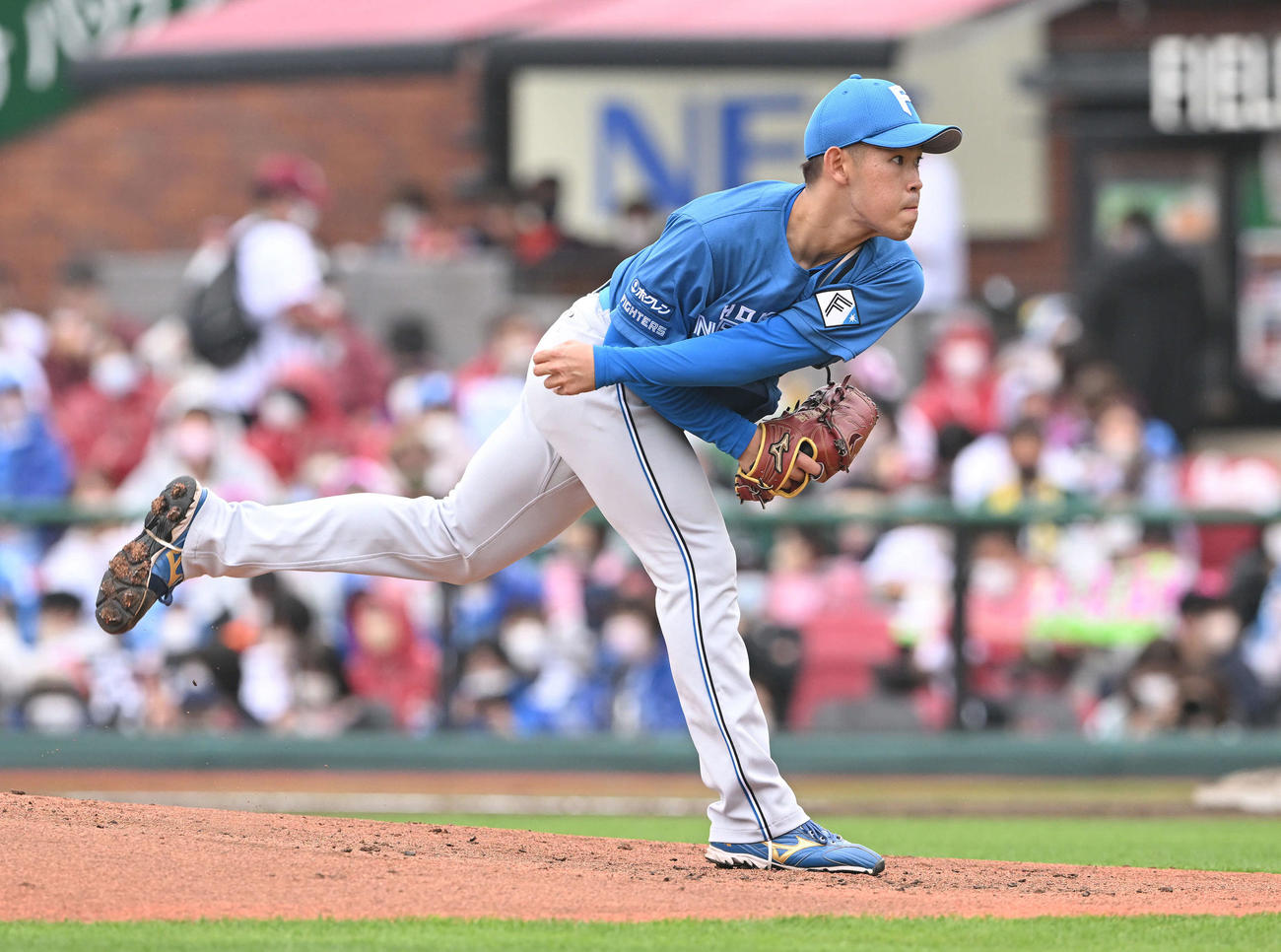 楽天対日本ハム　日本ハム先発の根本（撮影・滝沢徹郎）