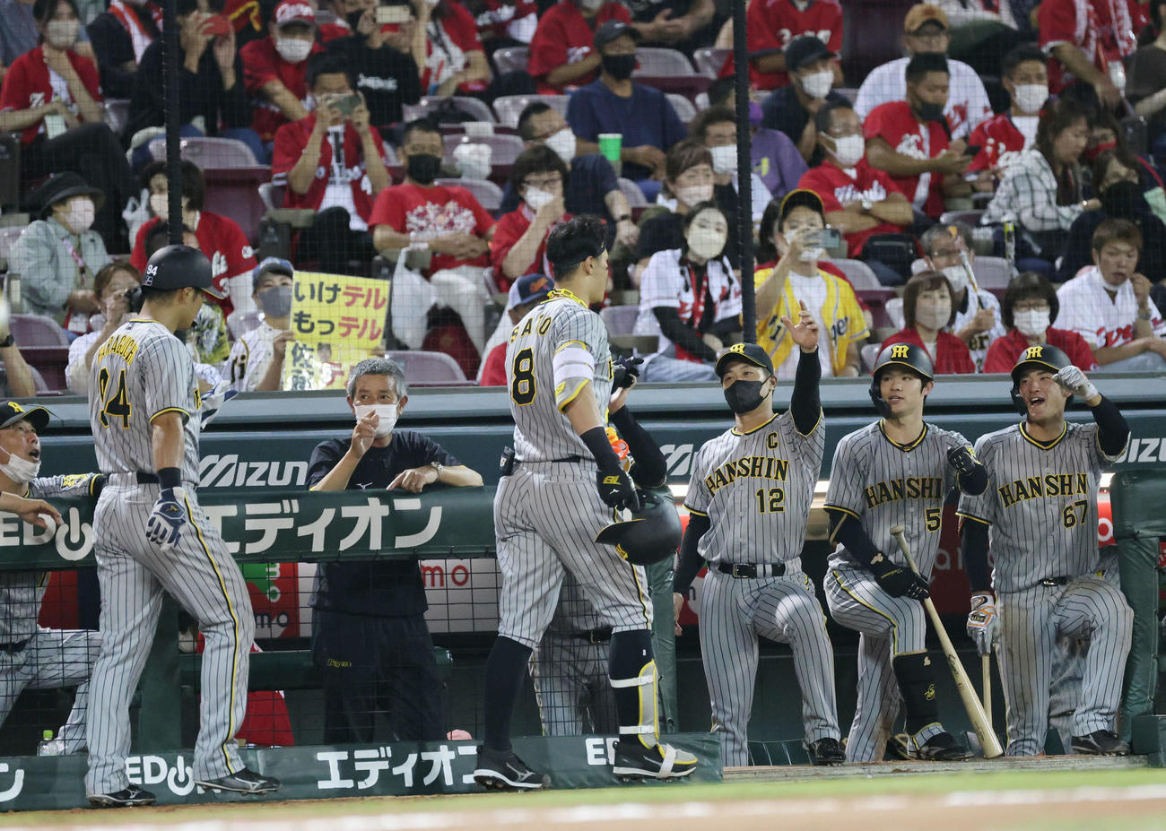 広島対阪神　6回表阪神無死二塁、20号右越え2点本塁打を放った佐藤輝を迎えるナイン（撮影・加藤孝規）