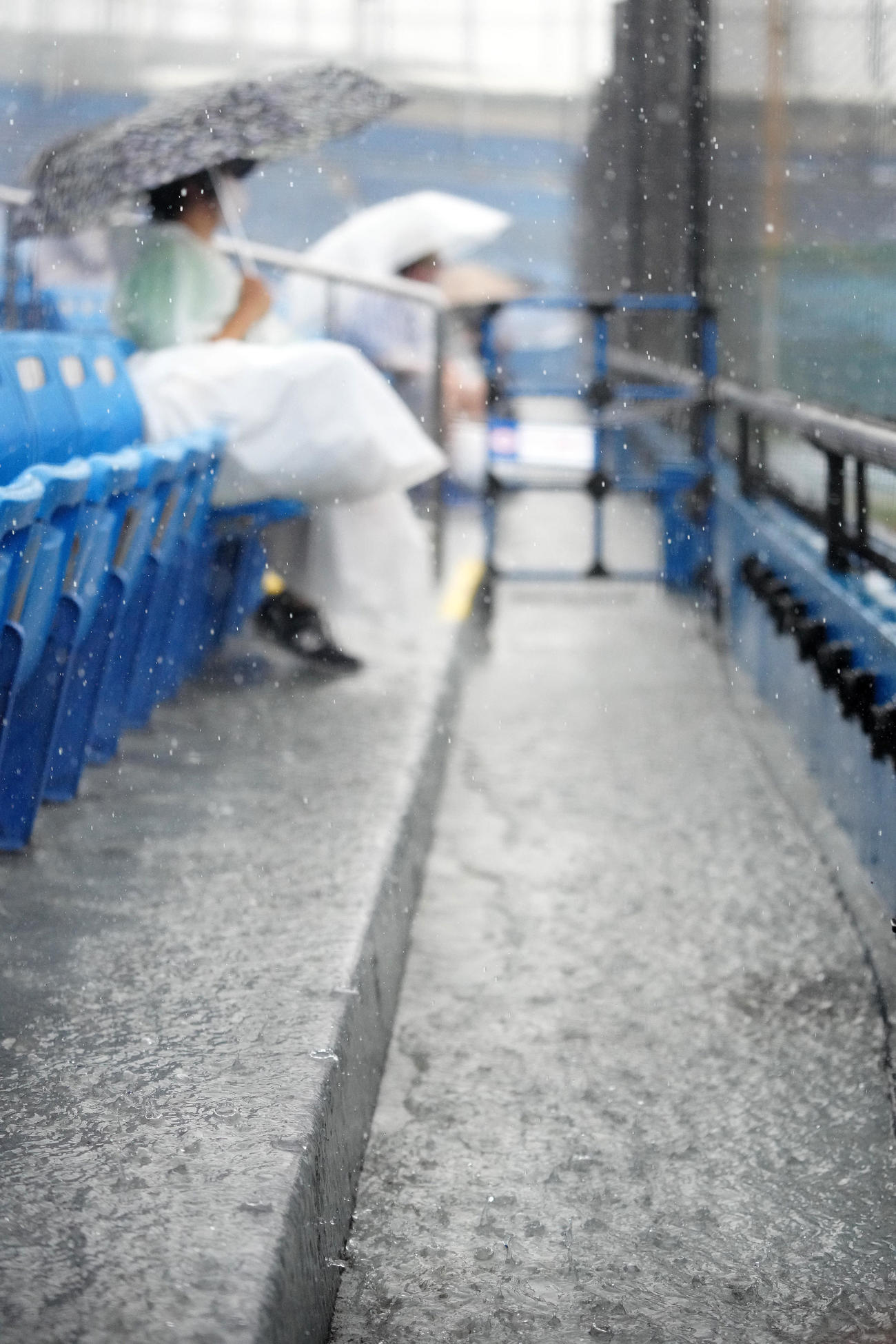 ヤクルト対DeNA　降雨の中、席に座って試合開始を待つヤクルトファン（撮影・江口和貴）