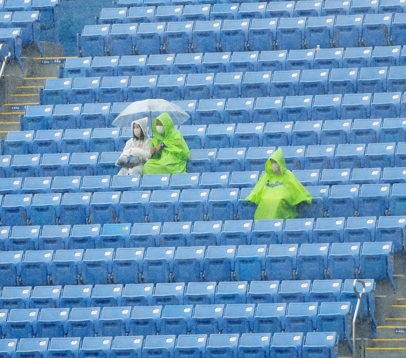 ヤクルト対DeNA　降雨の中、席に座って試合開始を待つヤクルトファン（撮影・江口和貴）