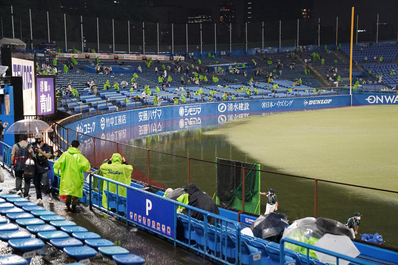 ヤクルト対DeNA　降雨により外野にできた大きな水たまり（撮影・鈴木みどり）