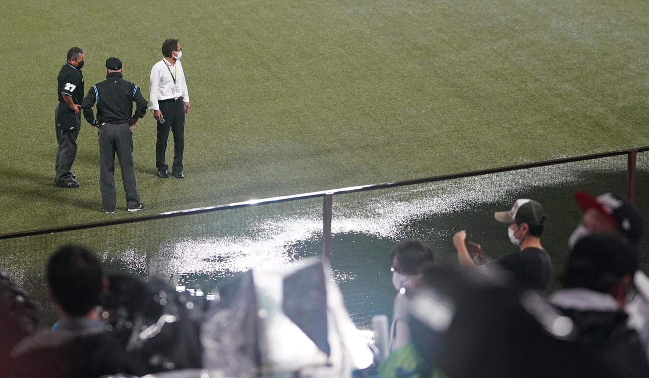 ヤクルト対DeNA　試合前、外野の水たまりを確認する審判（撮影・鈴木みどり）