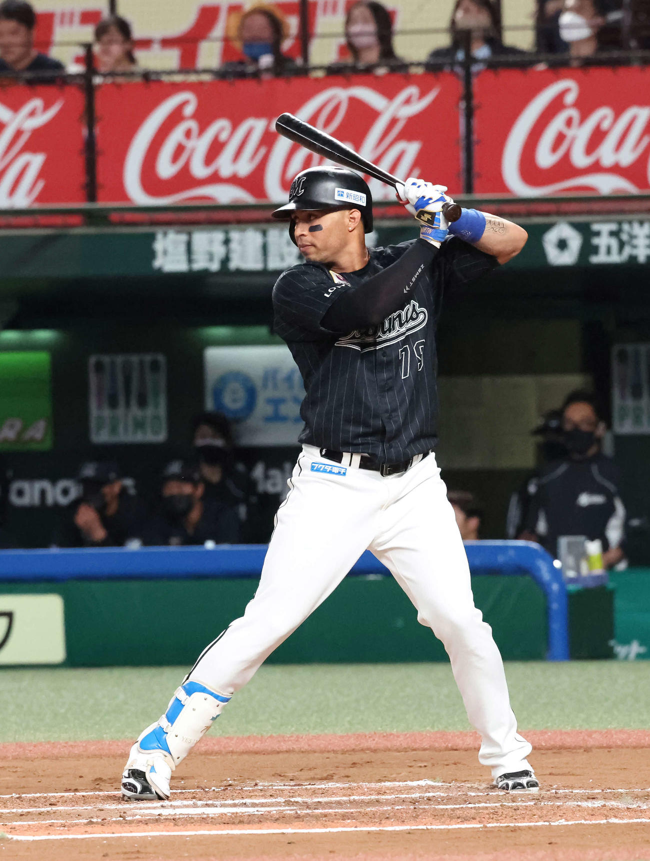 ロッテ・マーティン（2022年8月6日撮影）