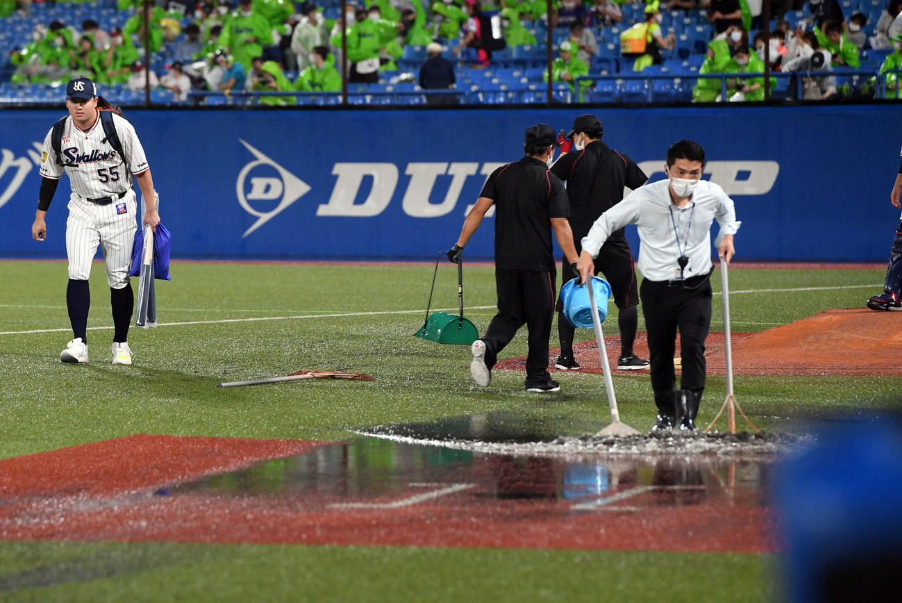 ヤクルト対DeNA　排水作業を行う球場スタッフを横目にグラウンドに姿を見せたヤクルトの村上（撮影・たえ見朱実）