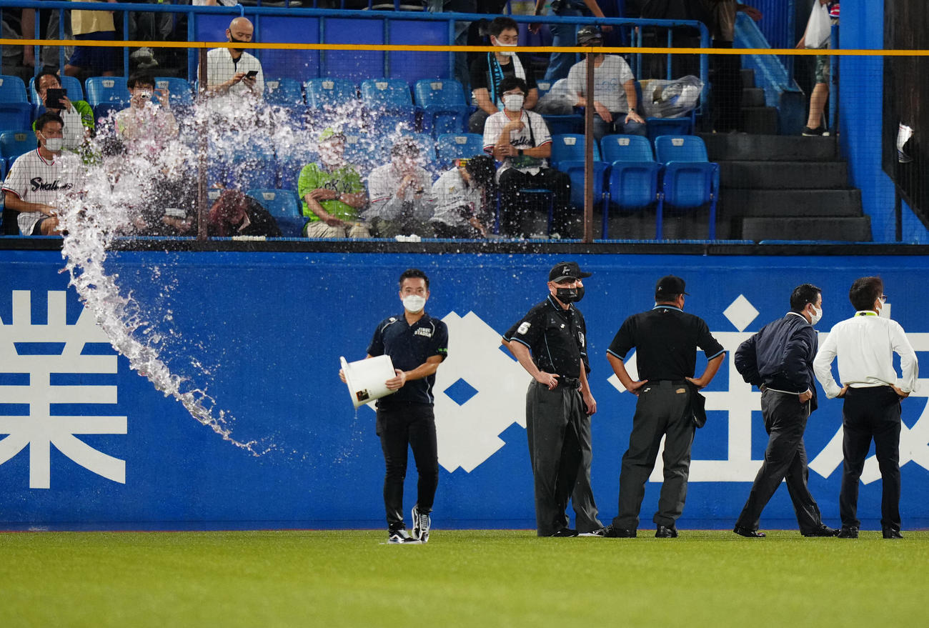 ヤクルト対DeNA　試合前、外野の状態を確認する審判団（撮影・江口和貴）