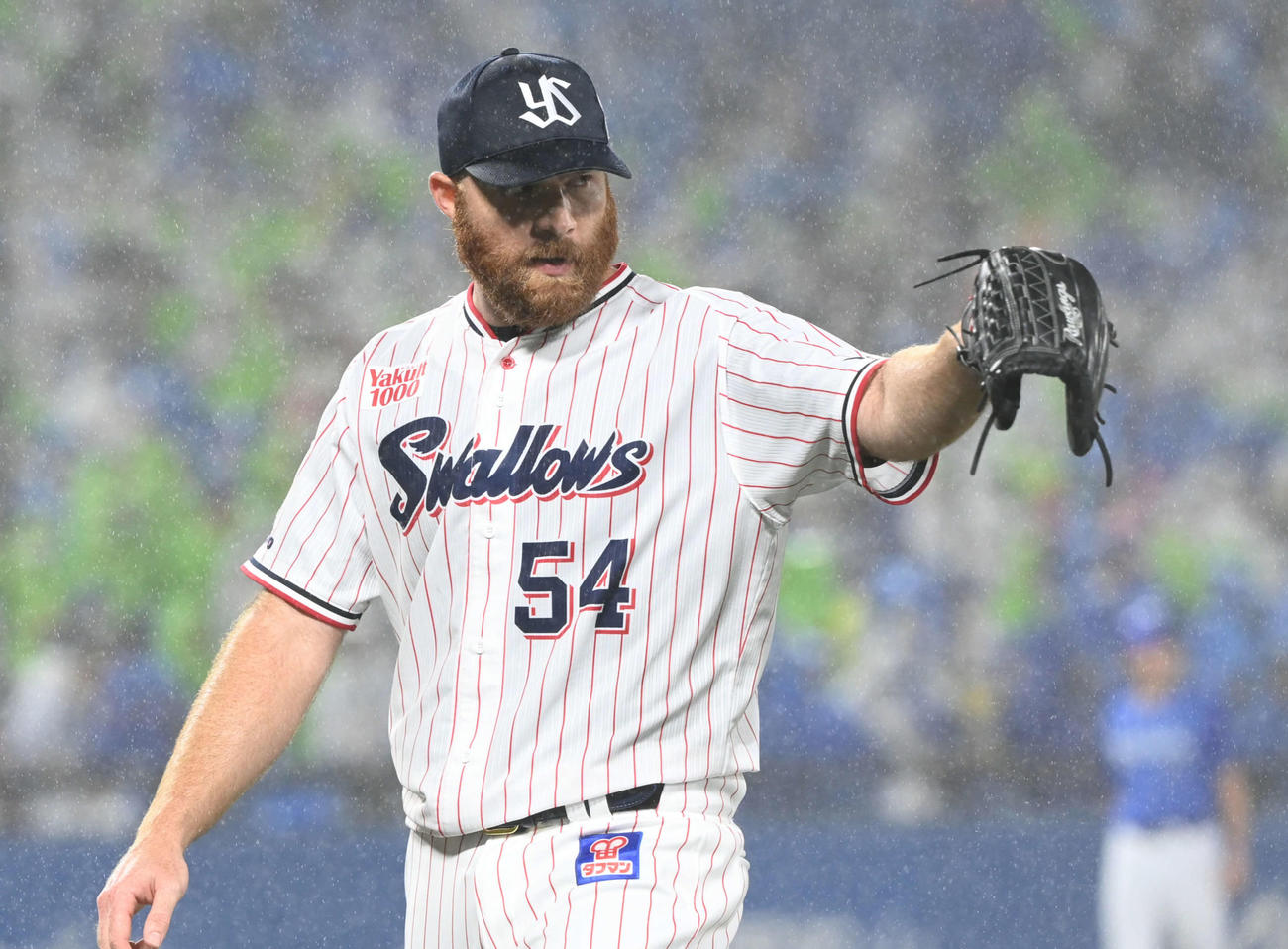 ヤクルト対DeNA 2回を無失点に抑えポーズを決めるサイスニード（撮影・たえ見朱実）