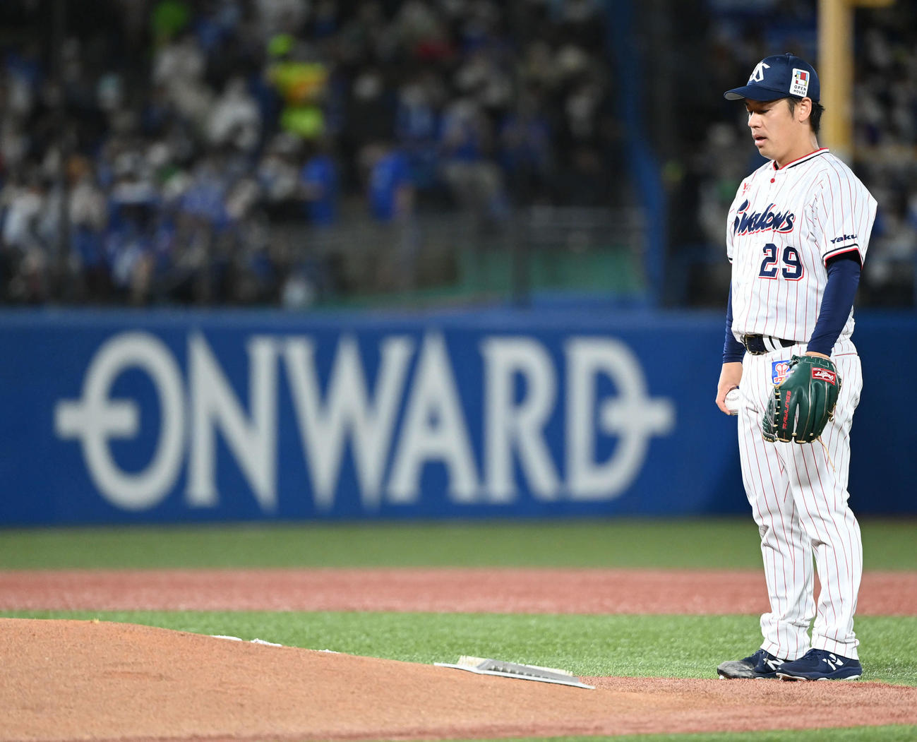 ヤクルト対DeNA　集中するヤクルトの先発小川（撮影・たえ見朱実）