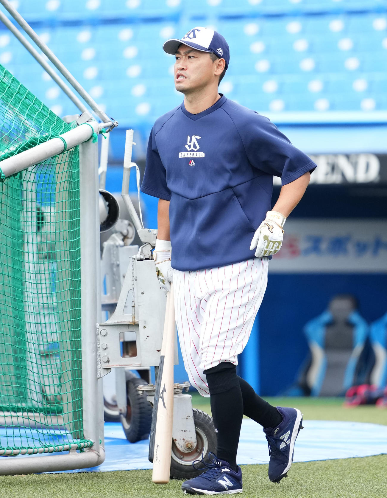 ヤクルト青木宣親（2022年9月23日撮影）