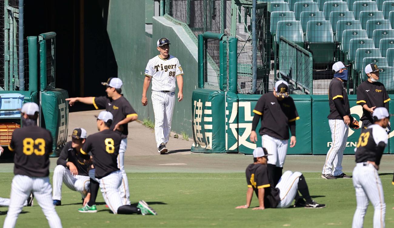 グラウンドに入る阪神矢野燿大監督（中央）（撮影・上田博志）