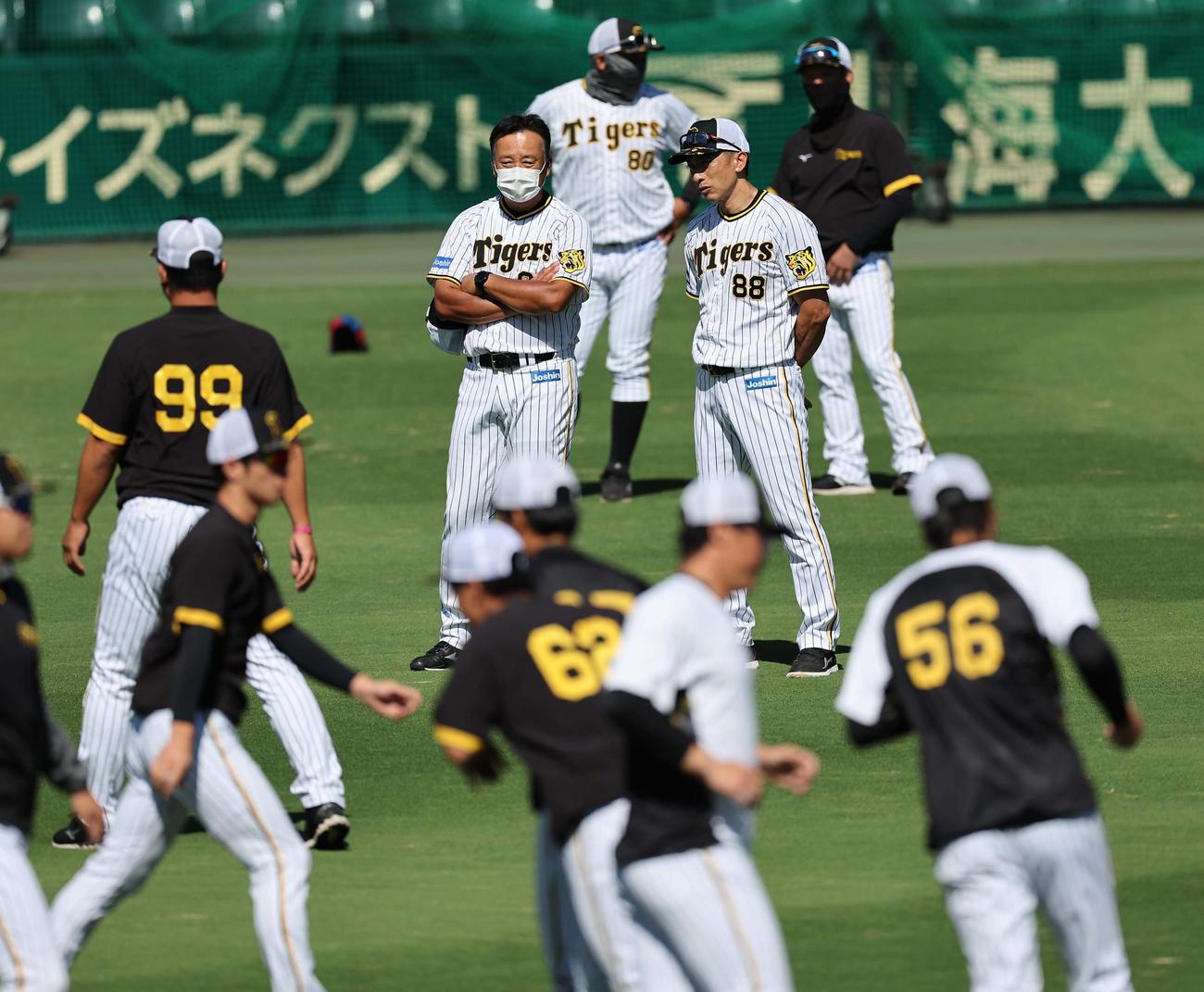 ナインの動きをチェックする阪神矢野燿大監督（中央）（撮影・上田博志）