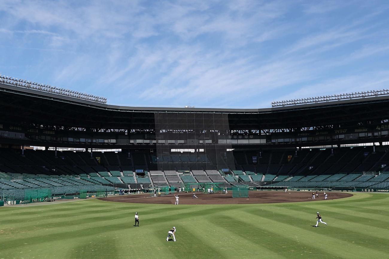 快晴の甲子園球場で練習する阪神ナイン（撮影・上田博志）