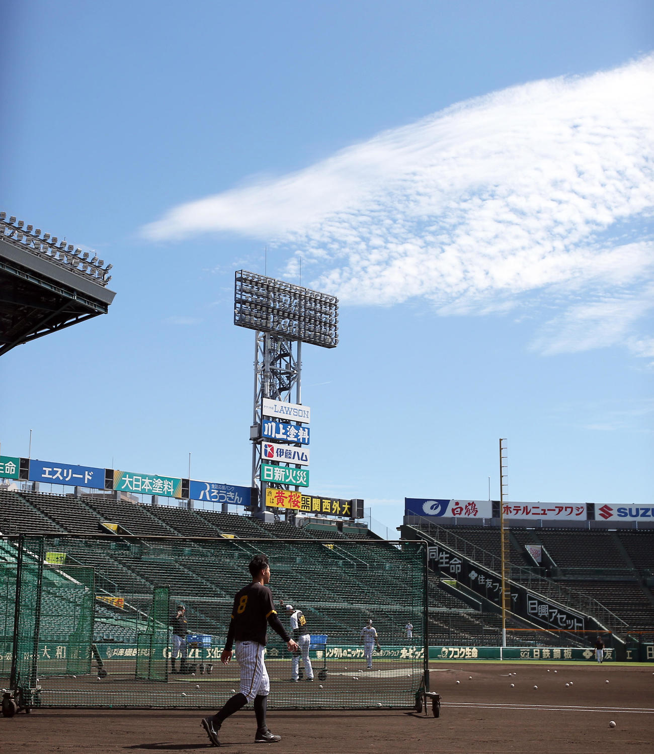 秋空の下、練習に励む阪神佐藤輝明（撮影・上山淳一）