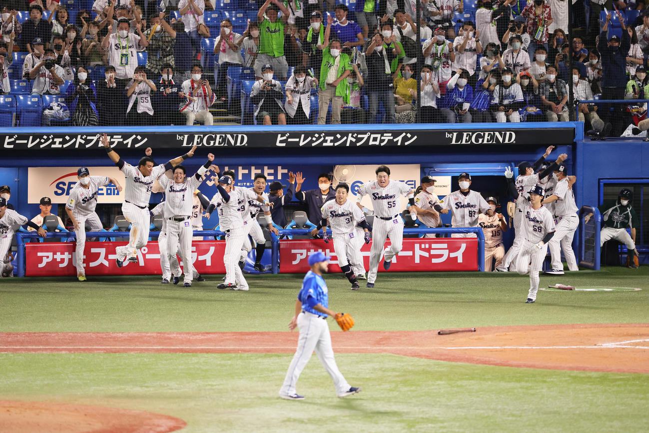 サヨナラ勝ちでリーグ連覇を果たしベンチから飛び出すヤクルト村上（中央右）ら（撮影・足立雅史）