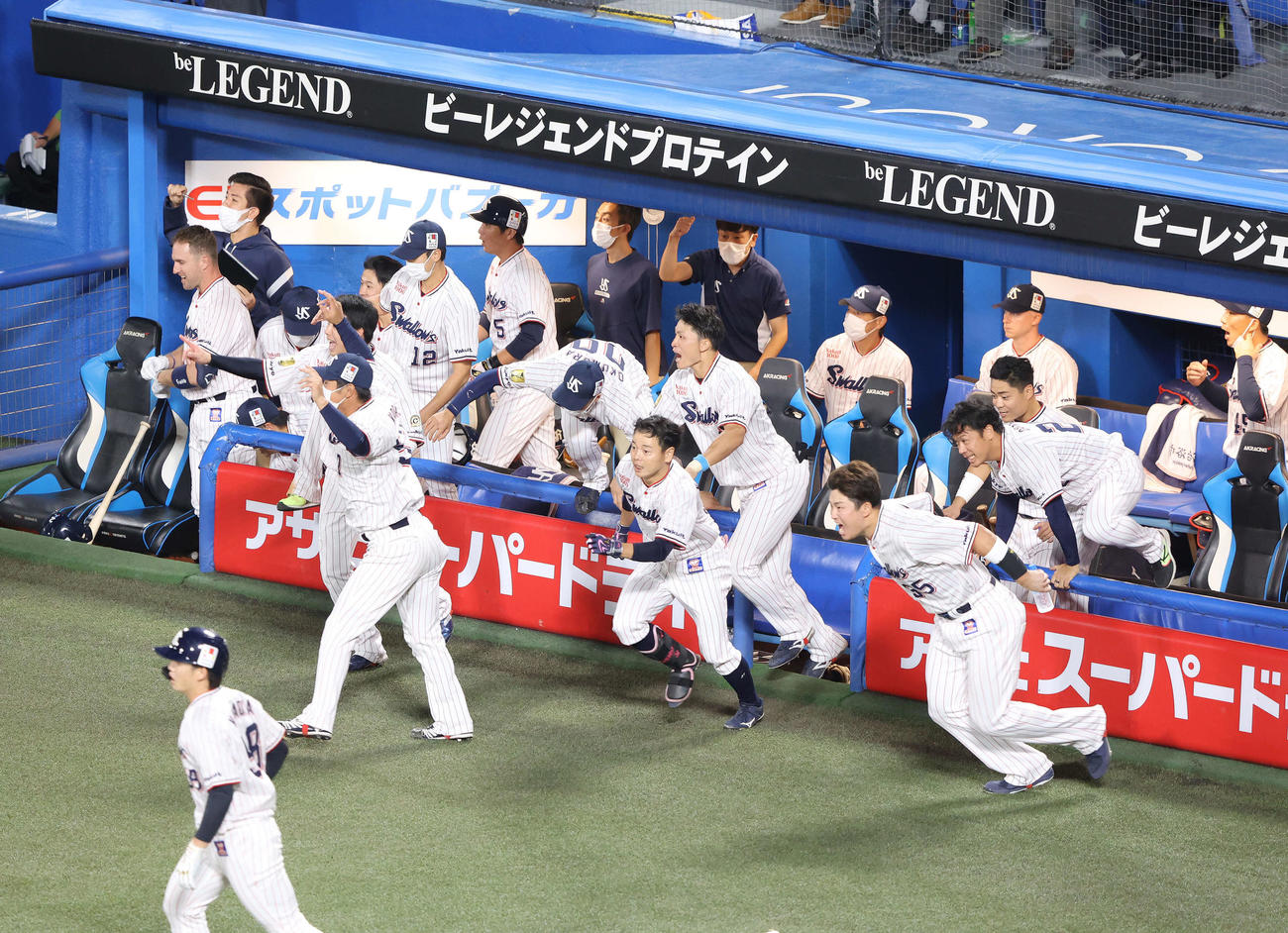 セ・リーグ優勝を決め、ベンチから飛び出す村上（手前右）らヤクルトナイン（撮影・河田真司）