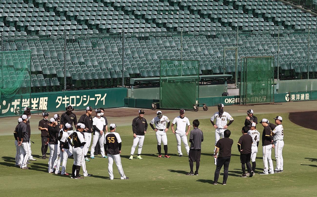 練習前に円陣を組む野手陣（撮影・上田博志）